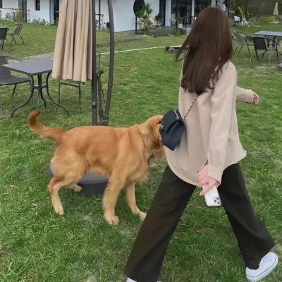 多桑不在家